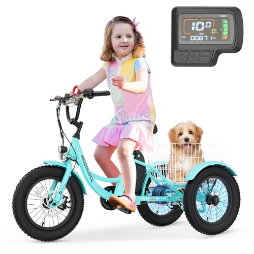 LILYPELLE Electric Tricycle for Youth, 250W Aluminum Frame