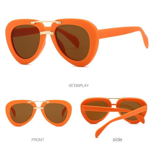Lunettes de soleil nuances dégradées à la mode design double pont