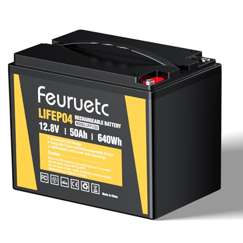 12V 50Ah LiFePO4 Lithium Battery - Built In 50A BMS 5000+ Deep Cycles Lithium Iron Phosphate Battery Great For Winter Power Shortage RV Marine Trolling Motor Camping and Off Grid Applications