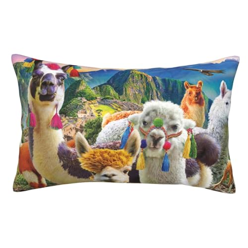  ܂Jo[ 􂦂 t@Xi[ lC CeA xbh Jo[ s[P[X EbhXgbN ʔApJ 킢 Aj LN^[ 14"X20"