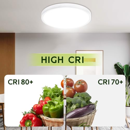 Image of hykolity 9 Inch Selectable CCT LED Round Flat Panel Light,18W,1800LM,3CCT