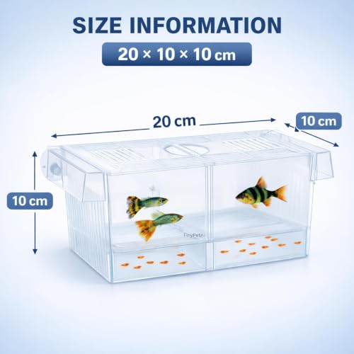 Image of Aquarium Double Isolation Box FH-20 | Fish Breeding & Separation Divider | Fry Hatchery for Betta & Guppy | Acclimation & Recovery Accessory for Fish Tanks