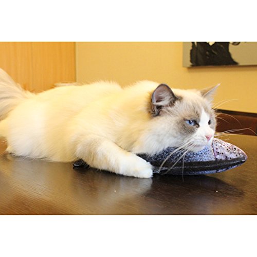 Wimagic, 1 giocattolo per animali domestici con