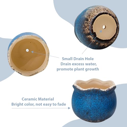 Succulent Pots, Set of 5 Ceramic Flower Pots for Mini Plant Ceramic Flowing Glaze Base Serial Set including Holes - Image 4