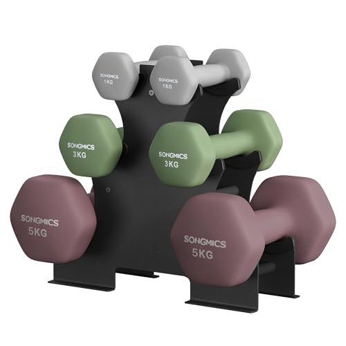 Haltères Hexagonaux SONGMICS - Lot de 2 x 5 kg - Pour Salle de Sport et Domicile - Gris - Sport