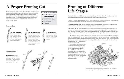 Pruning Made Easy: A Gardener's Visual Guide to When and How to Prune Everything, from Flowers to Trees (Storey's Gardening Skills Illustrated Series) - Image 3
