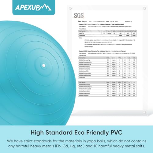 Image of APEXUP Yoga Ball, 660 lbs Anti-Burst Exercise Ball with Pump, 5 Sizes | Anti-Burst, Anti-Slip, SGS Certified, Strengthens Core, Improves Balance & Posture, Boosts Flexibility & Stability