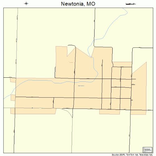 Large Street & Road Map of Newtonia, Missouri MO Printed poster size