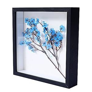 KAPIX Shadow Box Bilderrahmen mit HD-Plexiglas, tiefes Holz, für Gedenktage, Tickets, Baby-Sport-Andenken, Medaillen, Kunst und Fotos, Schwarz, 20,3 x 20,3 cm