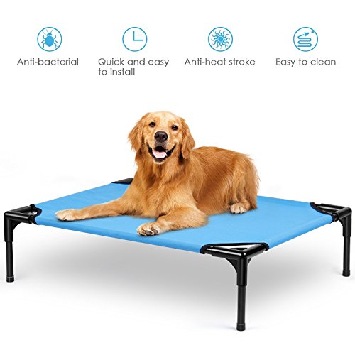 dog bed cot
