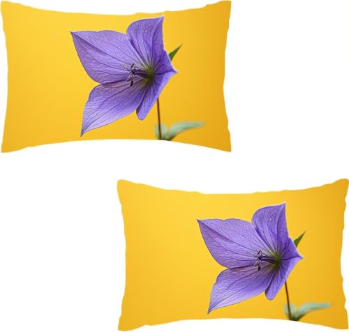 Housse de coussin douce pour soulager les assises dures