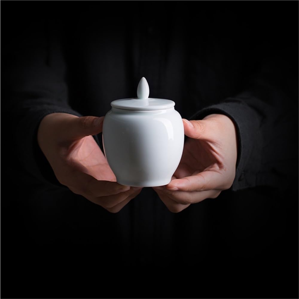 SDdPulse Tanque de almacenamiento de té, contenedor de almacenamiento de té de cerámica, tarro de almacenamiento de té para el hogar, tarro portátil de viaje, pequeño tarro sellado, juego de té, tarro