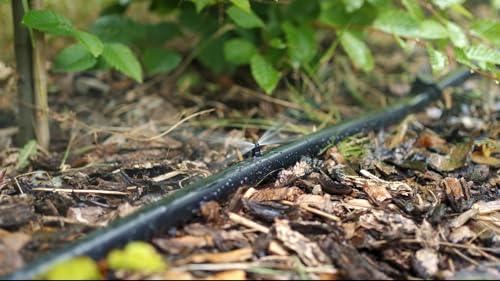 Regenmeister Gartenbewässerung Set für 25 m Hecke und schmale Beete Schnappanschluss