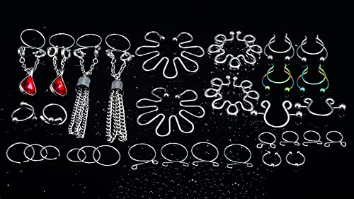 Oufksiyy Fake Nipple Ring Stainless Steel Non-Piercing Nipple Rings Clip On Nipplerings Faux Body Piercing Jewelry For Women Men 26Pcs #TOP6