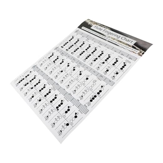TOYZFRIENDY Tabla de Acordes para Flauta Práctica de Digitación Gráfico de Notas Útil para Principiantes Póster Musical de Dedos y Manos para Aprender Tocar Flauta