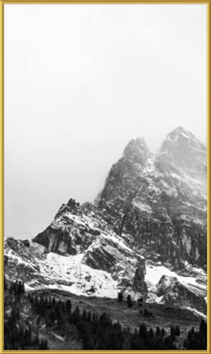 Frame It Easy 22 x 37 Satin Gold Metal Frame (Hanover)