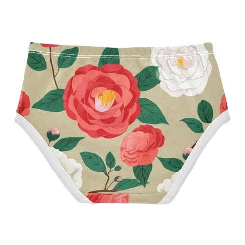 Designer Girls Underwear Toddler 2t Cotton Little Girl Panties Red White Pink Floral Light Brown Briefs Kids Undies2