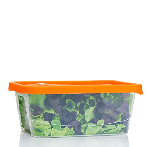 Denzus 42 Piece Stackable Bpa Free Plastic Food Storage Lunch Containers And Lids Set With 4 Sizes, Microwave, Dishwasher, And Freezer Safe (Lid Colors May Vary) #TOP5