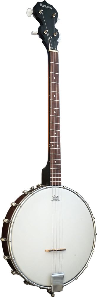 Blue Moon Music BM-10T Tenor Banjo