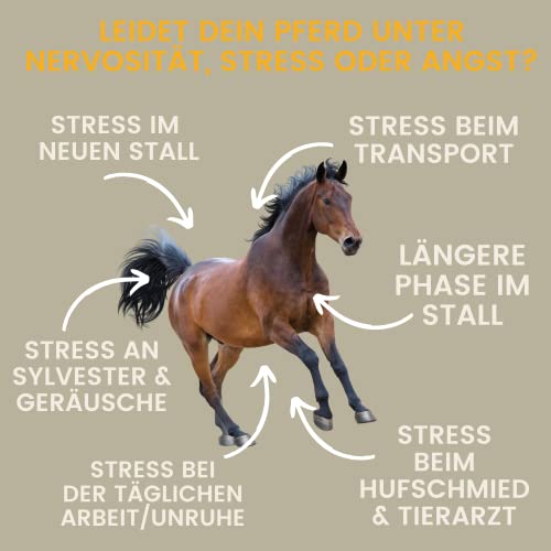 Magnesium Pferd hochdosiert Mag Paste 30ml Calm Relax Zusatzfutter mit L-Tryptophan Vitamin B12 – Anti Stress Beruhigung Pferd bei Angst Transport Silvester Stallwechsel Nerven Entspannung Horse Relax