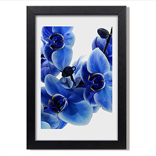 Cadre photo orchidée bleue Tulup 20x30 cm pour réveiller un mur blanc sans effort