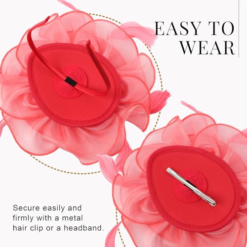 Image of DRESHOW Fascinators Hat Tea Party Headwear Ribbons Feathers on a Headband and a Clip for Women