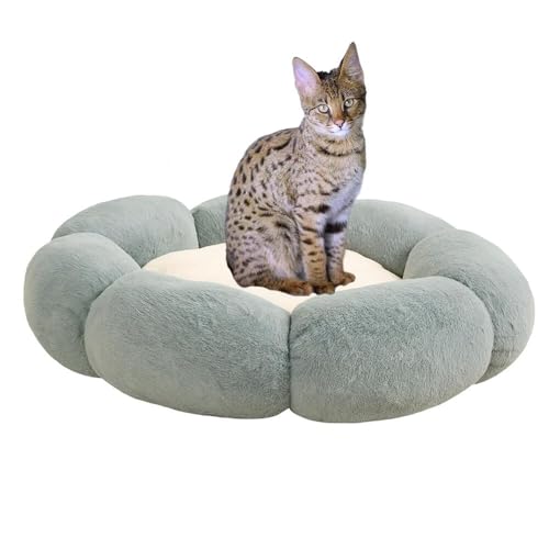 Lifetips ToiLbgL Toi ӂӂybgxbh Lp 􂦂 ~ ~p NbV ʔNΉ ې􂢉 Lpxbh ~p ~ߒ 􂦂Jo[ ᔽNbV i_uO[j