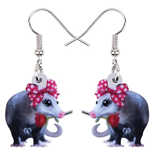 DUOWEI Acrylic Funny Possum Earrings Opossum Dangle Jewelry for Women Accessories Gifts Charms