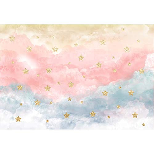 DASHAN 10x6ft Polyester Baby Girl 1st Birthday Backdrop Clouds Twinkle Little Star Cake Smash Banner Princess Birthday Photography Background Newborn Baby Shower Gender Reveal YouTube Photo Props