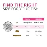 Fluval Bug Bites Fischfutter, mit Insektenlarven, farbverstärkendes Futter, langsam sinkendes Granulat, 1,4-2mm, 125g (Packung mit 2)