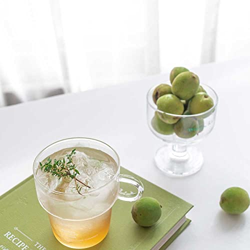 Ananong Korean Traditional 3 Years Aged Plum Fermented Syrup Extract 1000Ml 33.8Fl Oz Maesil Chung 매실청 #TOP4
