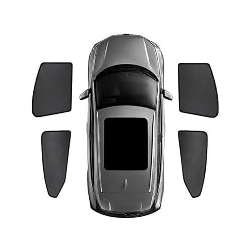 viva galml TVF[h 悯 J[e ՌJ[e 悯 J[pi UVJbg K  NTL309[(5V[Yi2023Nfj+AhAKXp)NTL309-7]