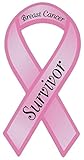 Pink Ribbon Shaped Awareness Magnet - Breast Cancer Survivor - Cars, Trucks, Refrigerators