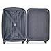 DELSEY PARIS Helium Aero Hardside Expandable Luggage with Spinner Wheels, Black, Checked-Medium 24 Inch