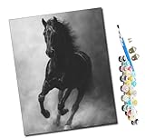 WMZPOY Pintar por numeros para Adultos Semental negro al galope Pintura por números Adultos y para niños-Lienzo pre Dibujado con numeros para Pintar con Pinceles 40x50cm