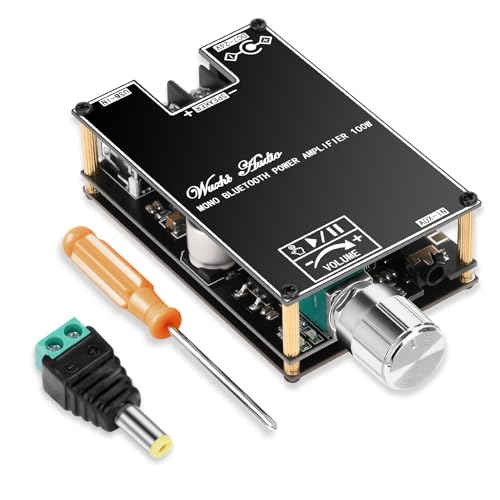 ZK-1001B 2 x 100 W Bluetooth Verstärker Modul, Monokanal Verstärkerplatine mit TWS-Kopplungsfunktion, 9-24V Stereo Audio Empfänger Leistungsverstärker Board mit Bluetooth/USB und AUX-Eingängen