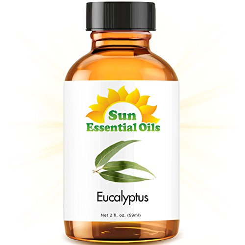 Eucalyptus Essential Oil (Huge 2oz Bottle) Bulk Eucalyptus Oil - 2 Ounce