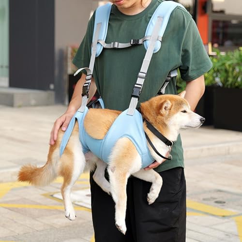 Sac à dos de transport ventral pour chien bleu M pour sécuriser vos sorties