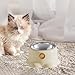 IEUDNS Tilted Cat Feeder Bowl Feeding Dish Home Indoor Outdoor Backyard Removable Stainless Steel Bowl Food Dispenser for Puppy Pets, Vanilla Brown