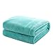 Mixibaby Coperta coccolata lanuginosa Morbida e Calda pavimentazione Flanella Flanella Flanella Coperta in Pile, Rughe Resistenti Anti-decolorazione, Größe:150 cm x 200 cm, Farbe:Mint