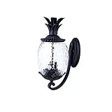Acclaim 7501BK Lanai Collection 2-Light Wall Mount Outdoor Light Fixture, Matte Black