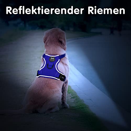PoyPet Reflektierendes, weiches, atmungsaktives Hundegeschirr aus Mesh, erstickungsfreie, doppelt gepolsterte Weste mit verstellbarem Hals und Brust(Königsblau,M)
