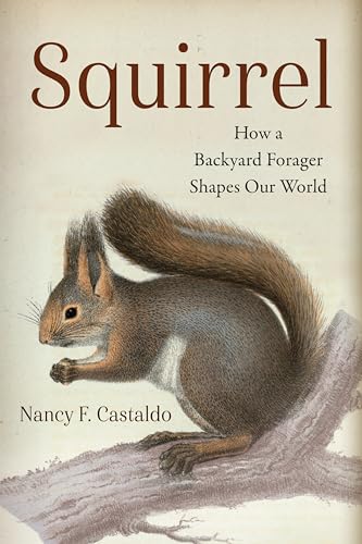 Squirrel: How a Backyard Forager Shapes Our World