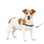 PetSafe Easy Walk Harness, No-Pull Walking Harness for Dogs, Adjustable Fit, Includes 1.8m Lead, Small-Black