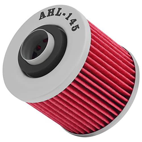 AHL Ölfilter Kompatibel mit XV535 Virago 535 1987-2002/ XT 600e 600 1991-2003/ XT660X Super Motard 660 2004-2016 / XV125S Virago 125 1997-2001
