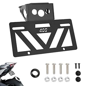 41z2gsgkj2l. sl500 . ss300