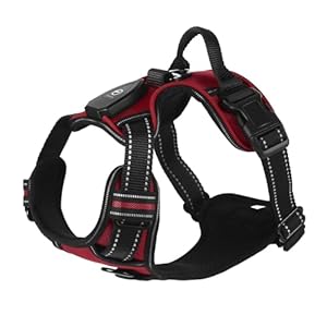 Lumineux Harnais Chien – Rechargeable Harnais Chien Anti Traction Harnais pour Chien avec LED à Changement de 3 Couleurs, Réfléchissant avec Attache Devant Harnais, Solide (Rouge, XL)