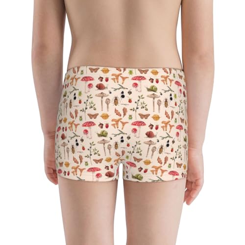 Boys' Cotton Boxer Brief Soft Underwear-Autumn3