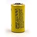 elxjar (2-Pack) 3V BR-2/3ASSP 2/3A Lithium Battery Replacement for Panasonic BR-2/3A BR2/3A CNC PLC Memory Backup System
