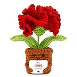 HUKUMA Geschenke für Oma, Handgemachte Gehäkelte Blumen Figuren, Kreative Muttertagsgeschenk, Positive Nelken Blumen Mama, Oma Geburtstagsgeschenk, Geschenk zum Geburtstag Muttertag
